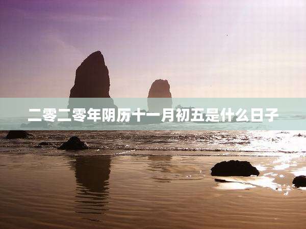 二零二零年阴历十一月初五是什么日子