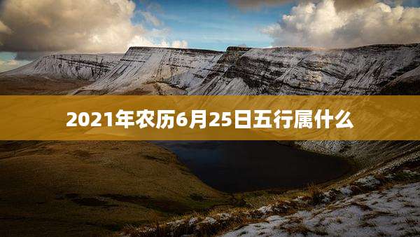 2021年农历6月25日五行属什么