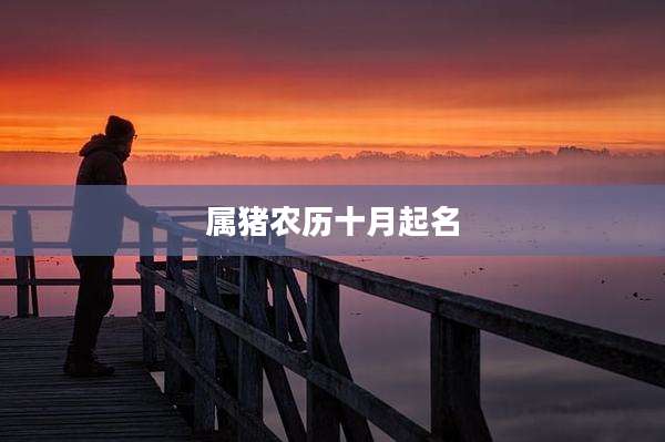 属猪农历十月起名