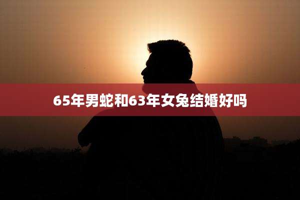 65年男蛇和63年女兔结婚好吗