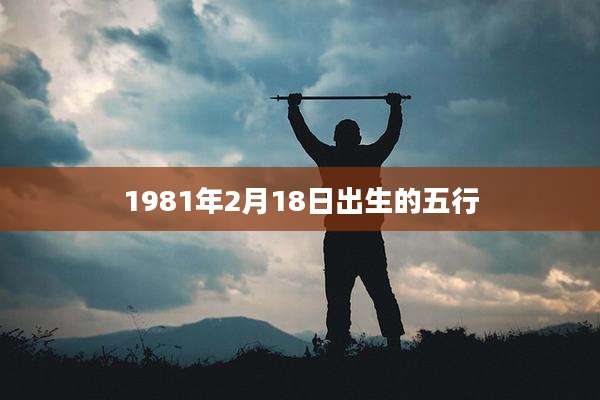 1981年2月18日出生的五行