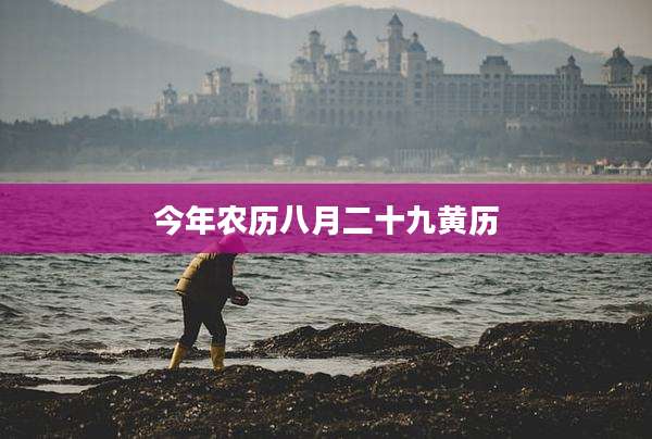 今年农历八月二十九黄历