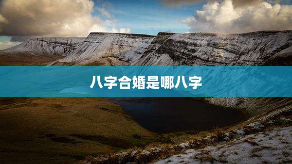 八字合婚是哪八字