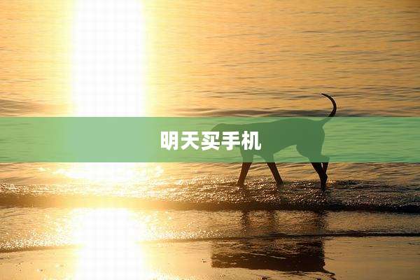 明天买手机