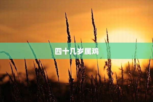 四十几岁属鸡