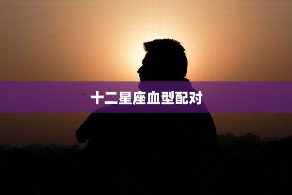 十二星座血型配对