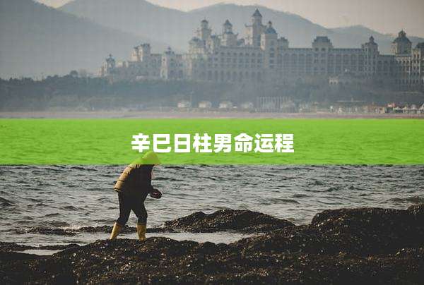 辛巳日柱男命运程