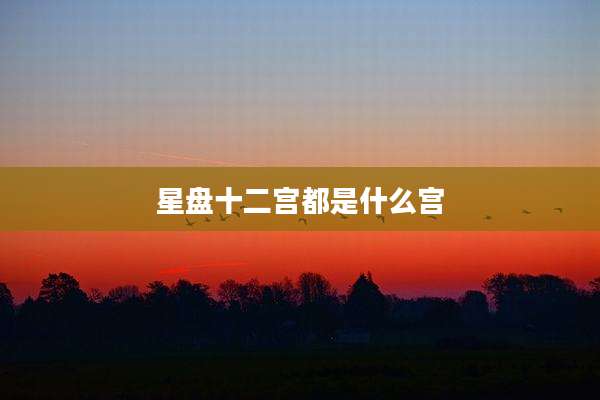 星盘十二宫都是什么宫