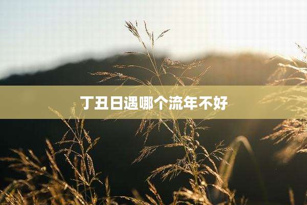丁丑日遇哪个流年不好
