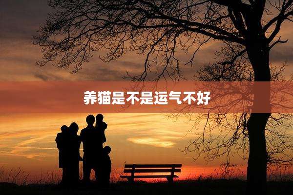 养猫是不是运气不好