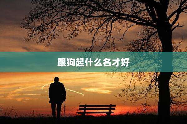 跟狗起什么名才好