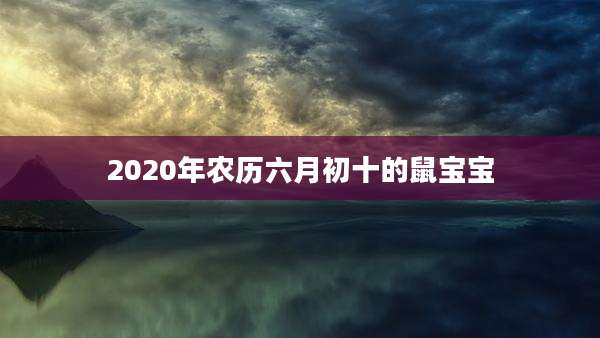 2020年农历六月初十的鼠宝宝