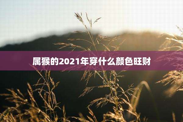 属猴的2021年穿什么颜色旺财