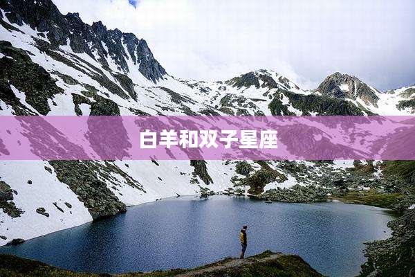 白羊和双子星座