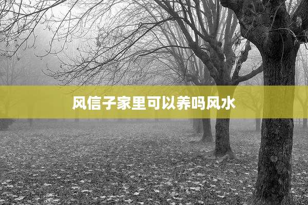 风信子家里可以养吗风水