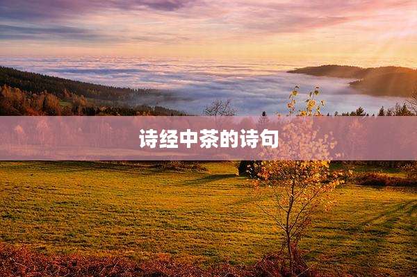 诗经中茶的诗句