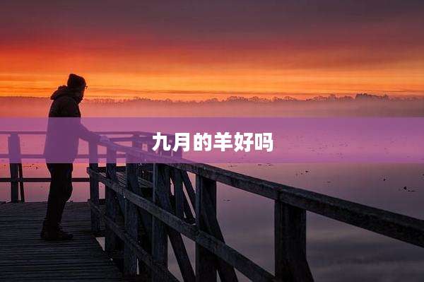 九月的羊好吗