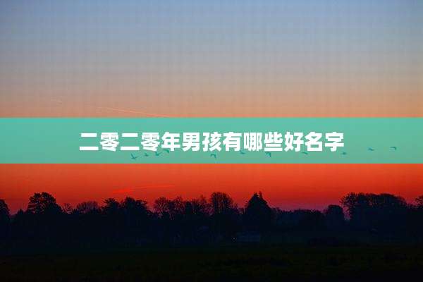 二零二零年男孩有哪些好名字