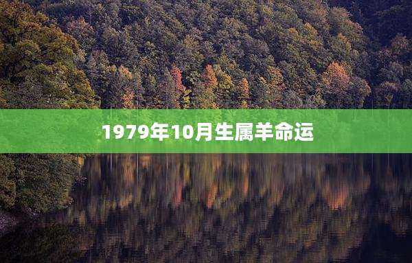 1979年10月生属羊命运
