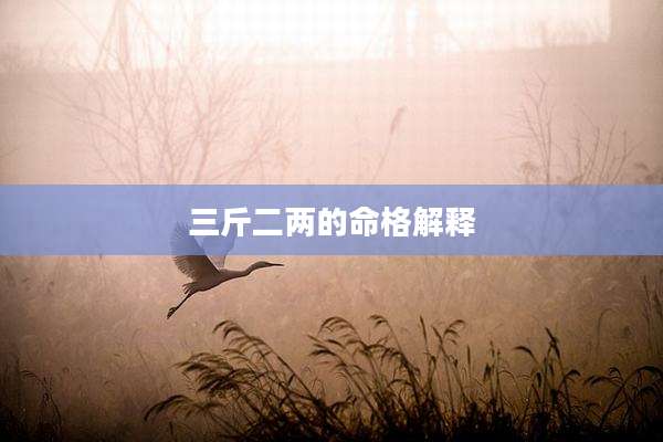 三斤二两的命格解释