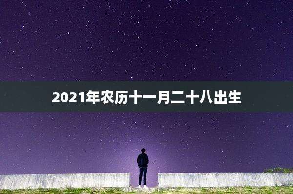 2021年农历十一月二十八出生