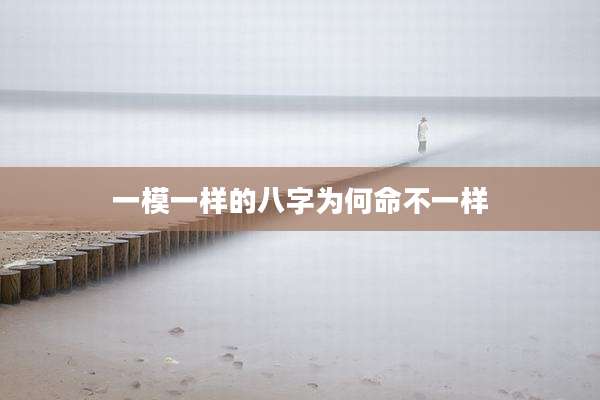 一模一样的八字为何命不一样