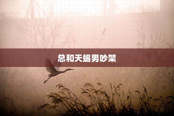 总和天蝎男吵架