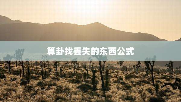 算卦找丢失的东西公式
