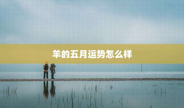 羊的五月运势怎么样