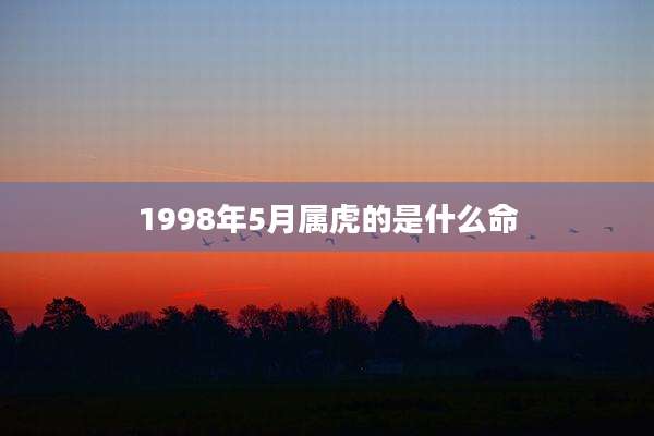 1998年5月属虎的是什么命
