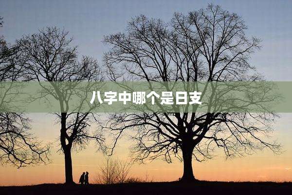 八字中哪个是日支