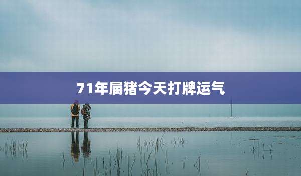 71年属猪今天打牌运气
