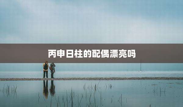 丙申日柱的配偶漂亮吗