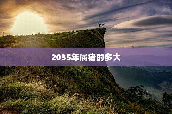 2035年属猪的多大