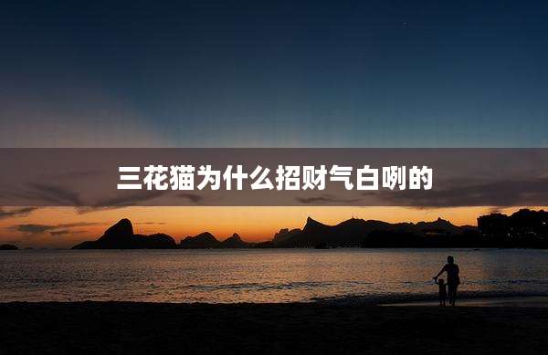 三花猫为什么招财气白咧的