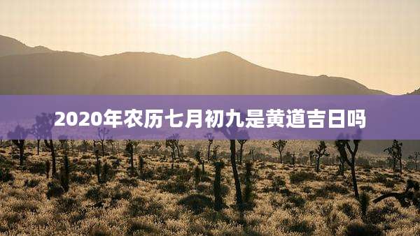2020年农历七月初九是黄道吉日吗