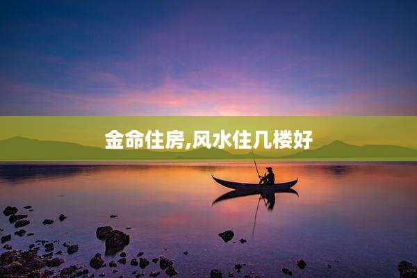 金命住房,风水住几楼好
