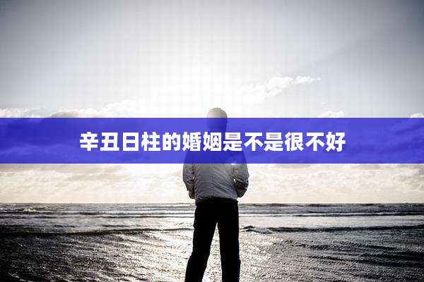 辛丑日柱的婚姻是不是很不好