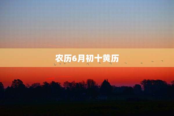 农历6月初十黄历
