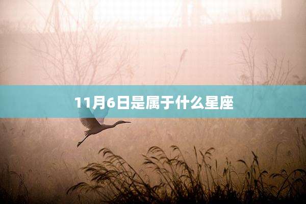 11月6日是属于什么星座