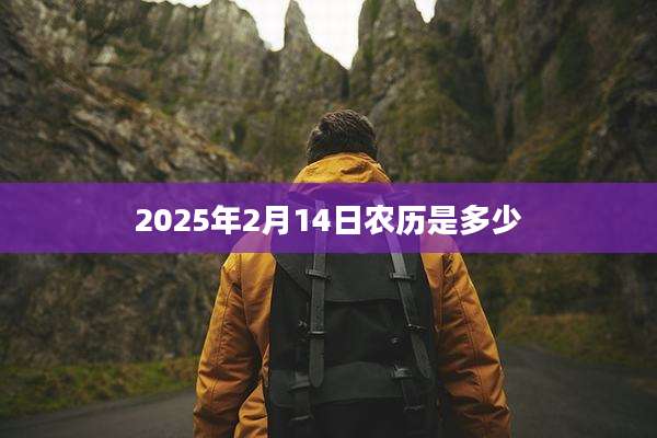 2025年2月14日农历是多少
