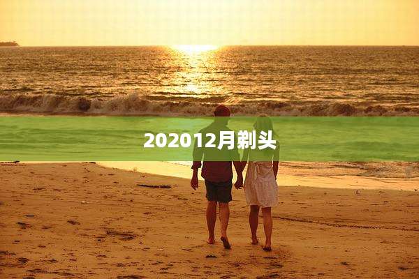 202012月剃头