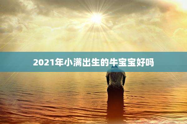 2021年小满出生的牛宝宝好吗