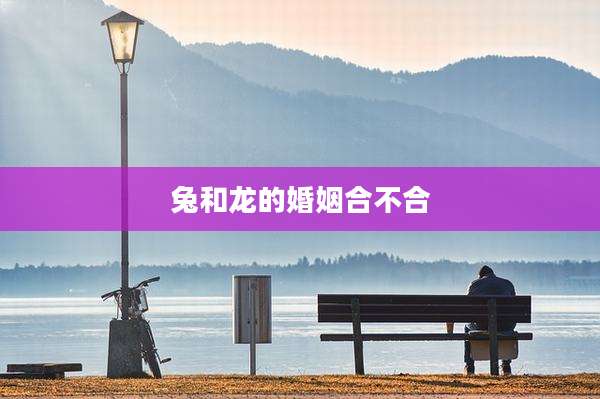 兔和龙的婚姻合不合