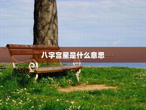 八字宫星是什么意思