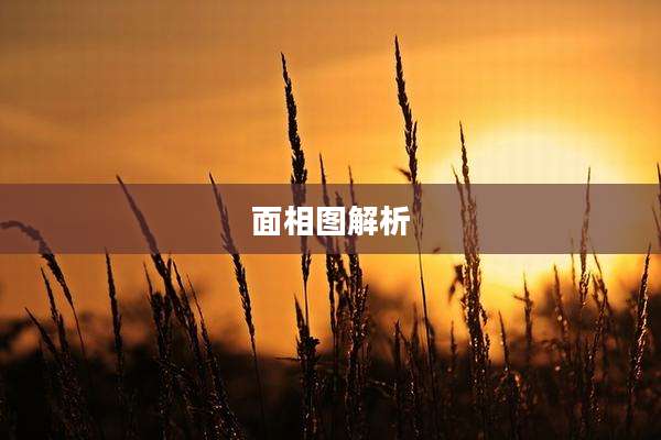 面相图解析