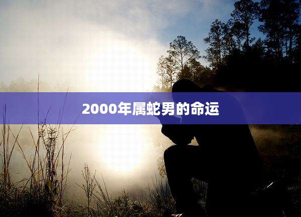 2000年属蛇男的命运