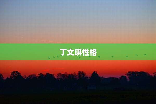 丁文琪性格