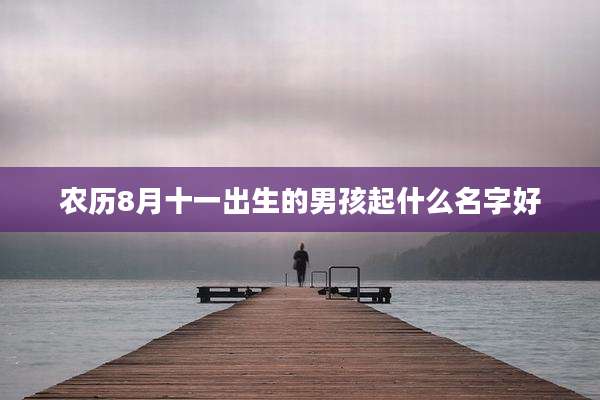 农历8月十一出生的男孩起什么名字好
