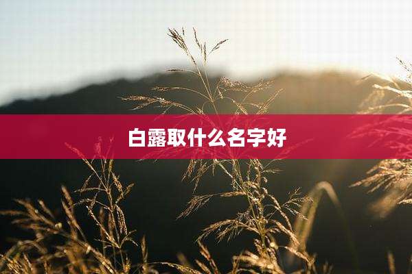 白露取什么名字好
